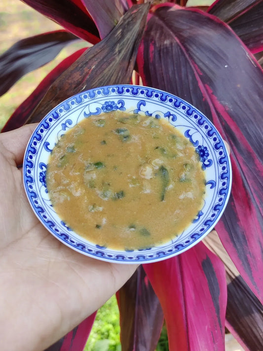 MISO GINGER SPRING ONION SAUCE