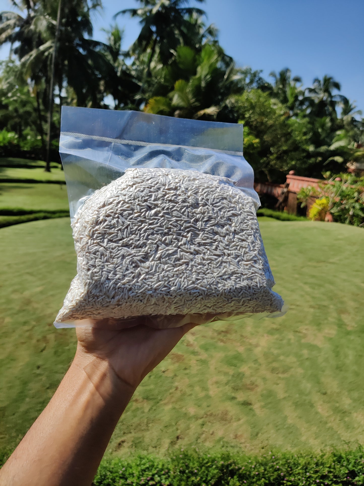 RICE KOJI