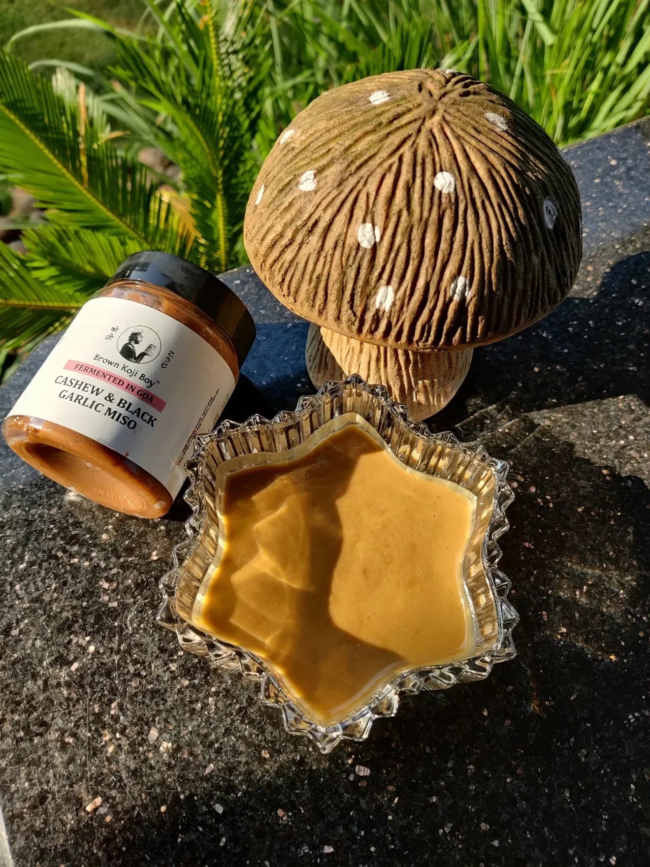 CBG MUSHROOM SAUCE