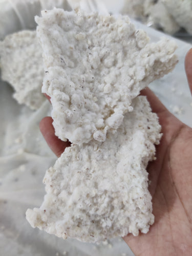 WHAT IS KOJI?